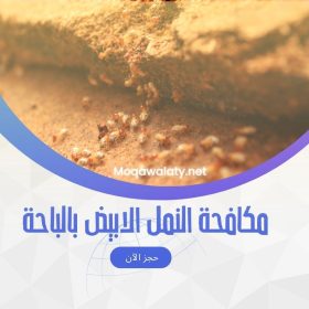 مكافحة النمل الابيض في الباحة